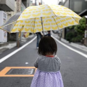 梅雨入りですね