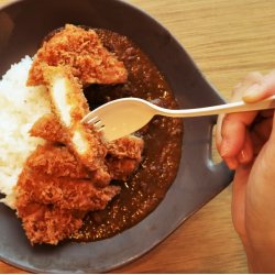 画像1: 琺瑯のカツカレースプーン